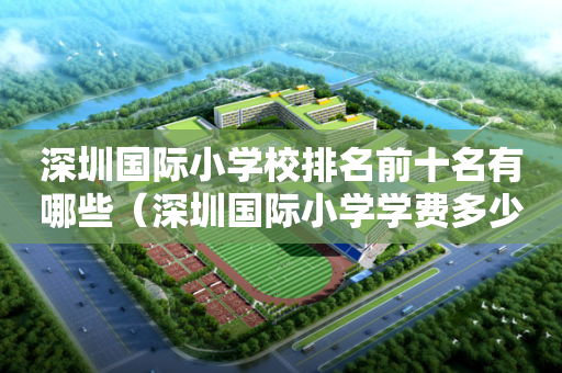 深圳国际小学校排名前十名有哪些（深圳国际小学学费多少）