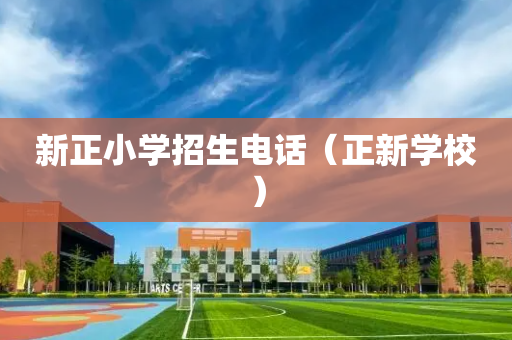 新正小学招生电话（正新学校）