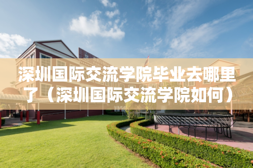 深圳国际交流学院毕业去哪里了（深圳国际交流学院如何）