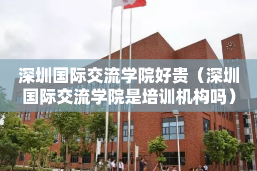 深圳国际交流学院好贵（深圳国际交流学院是培训机构吗）