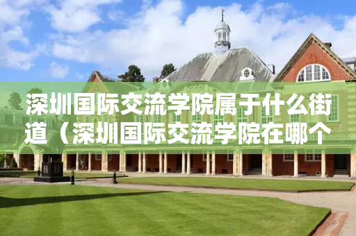 深圳国际交流学院属于什么街道（深圳国际交流学院在哪个区）