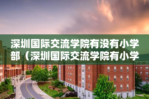 深圳国际交流学院有没有小学部（深圳国际交流学院有小学部吗）
