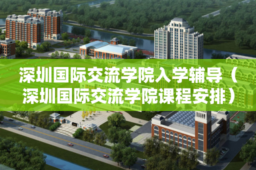 深圳国际交流学院入学辅导（深圳国际交流学院课程安排）
