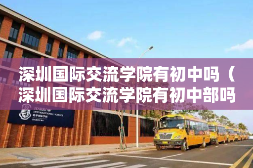 深圳国际交流学院有初中吗（深圳国际交流学院有初中部吗）
