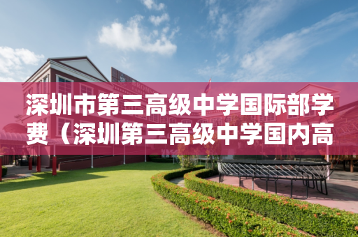 深圳市第三高级中学国际部学费（深圳第三高级中学国内高考班学费）