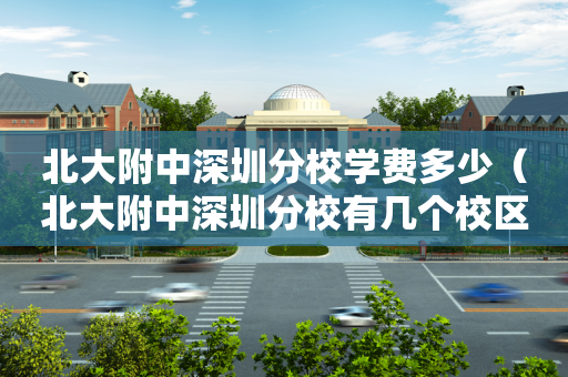 北大附中深圳分校学费多少（北大附中深圳分校有几个校区?）