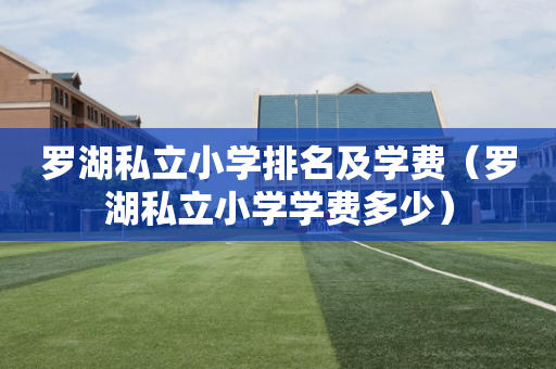 罗湖私立小学排名及学费（罗湖私立小学学费多少）