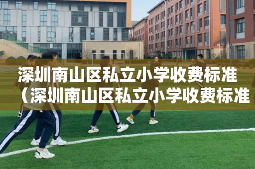 深圳南山区私立小学收费标准（深圳南山区私立小学收费标准是多少）