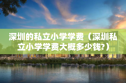 深圳的私立小学学费（深圳私立小学学费大概多少钱?）