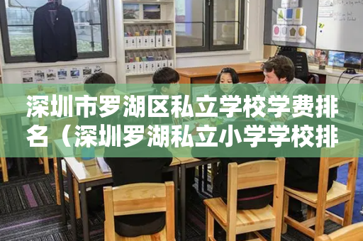深圳市罗湖区私立学校学费排名（深圳罗湖私立小学学校排名）