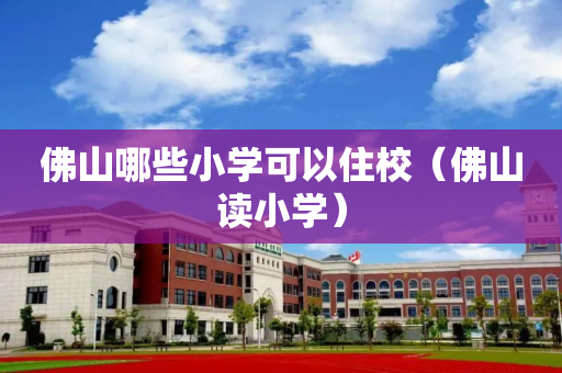 佛山哪些小学可以住校（佛山读小学）