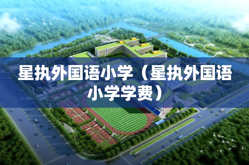 星执外国语小学（星执外国语小学学费）