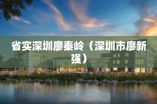 省实深圳廖秦岭（深圳市廖新强）