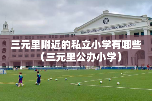 三元里附近的私立小学有哪些（三元里公办小学）