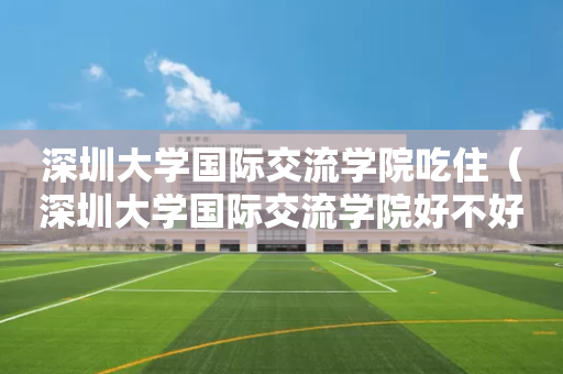 深圳大学国际交流学院吃住（深圳大学国际交流学院好不好）