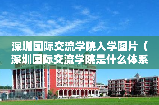 深圳国际交流学院入学图片（深圳国际交流学院是什么体系）
