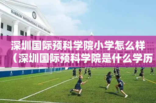 深圳国际预科学院小学怎么样（深圳国际预科学院是什么学历）