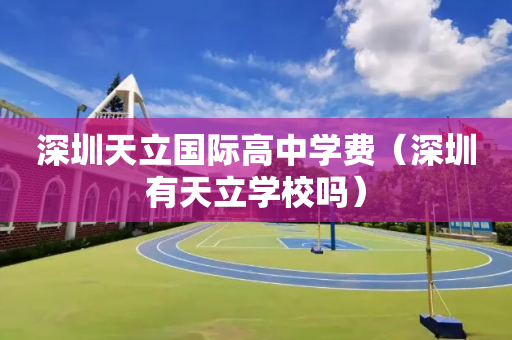 深圳天立国际高中学费（深圳有天立学校吗）