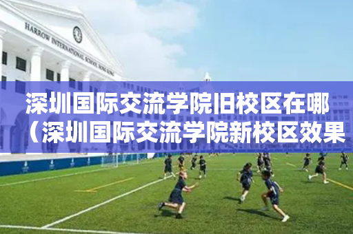 深圳国际交流学院旧校区在哪（深圳国际交流学院新校区效果图）