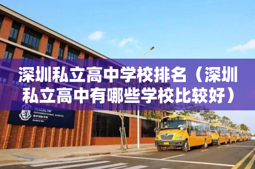 深圳私立高中学校排名（深圳私立高中有哪些学校比较好）