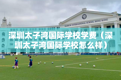 深圳太子湾国际学校学费（深圳太子湾国际学校怎么样）