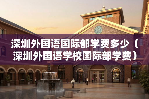深圳外国语国际部学费多少（深圳外国语学校国际部学费）