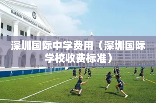 深圳国际中学费用（深圳国际学校收费标准）