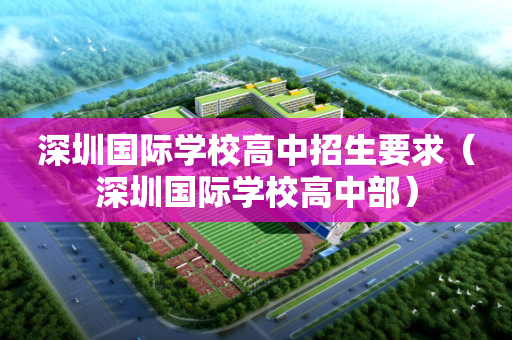 深圳国际学校高中招生要求（深圳国际学校高中部）