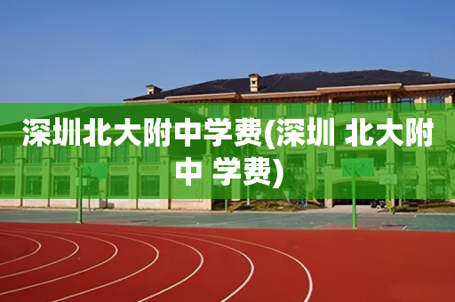 深圳北大附中学费(深圳 北大附中 学费)