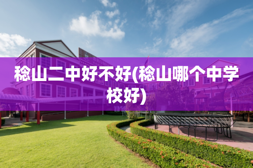 稔山二中好不好(稔山哪个中学校好)