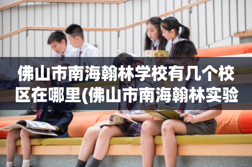佛山市南海翰林学校有几个校区在哪里(佛山市南海翰林实验学校成立于哪一年?)