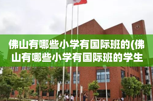 佛山有哪些小学有国际班的(佛山有哪些小学有国际班的学生)
