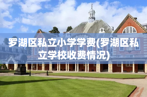 罗湖区私立小学学费(罗湖区私立学校收费情况)