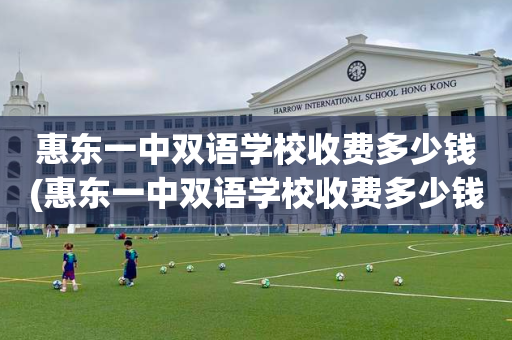 惠东一中双语学校收费多少钱(惠东一中双语学校收费多少钱一个学期)