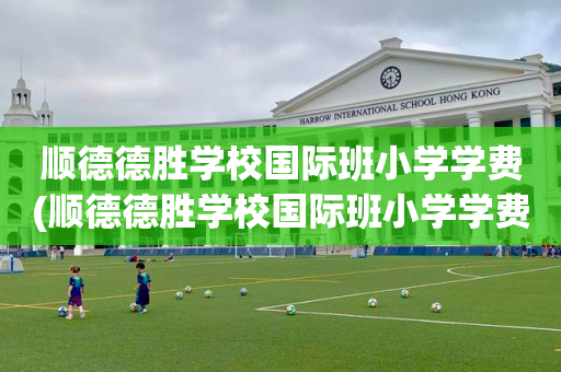 顺德德胜学校国际班小学学费(顺德德胜学校国际班小学学费多少)