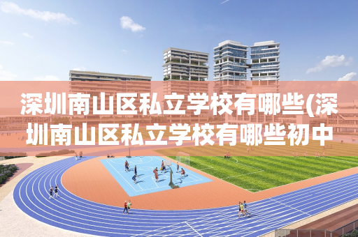 深圳南山区私立学校有哪些(深圳南山区私立学校有哪些初中)