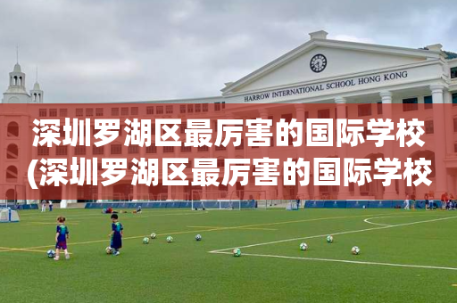 深圳罗湖区最厉害的国际学校(深圳罗湖区最厉害的国际学校是哪所)