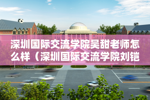 深圳国际交流学院吴甜老师怎么样（深圳国际交流学院刘铠睿）