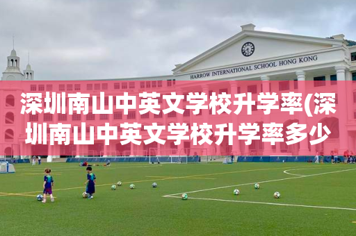 深圳南山中英文学校升学率(深圳南山中英文学校升学率多少)