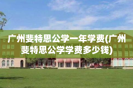 广州斐特思公学一年学费(广州斐特思公学学费多少钱)