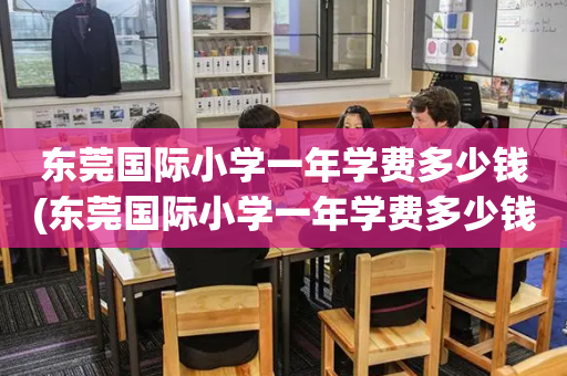 东莞国际小学一年学费多少钱(东莞国际小学一年学费多少钱啊)