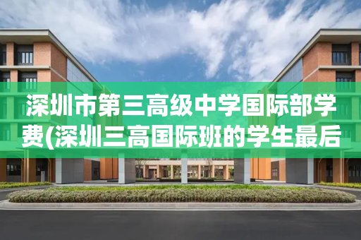 深圳市第三高级中学国际部学费(深圳三高国际班的学生最后都怎么样了)