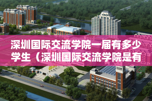 深圳国际交流学院一届有多少学生（深圳国际交流学院是有钱人读的吗）