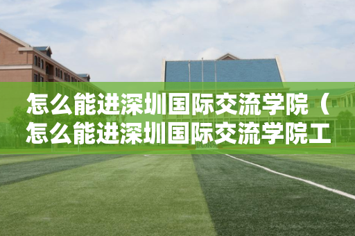 怎么能进深圳国际交流学院（怎么能进深圳国际交流学院工作）