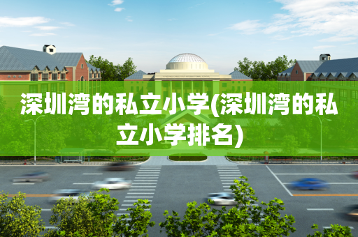 深圳湾的私立小学(深圳湾的私立小学排名)