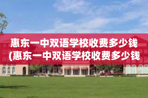 惠东一中双语学校收费多少钱(惠东一中双语学校收费多少钱啊)