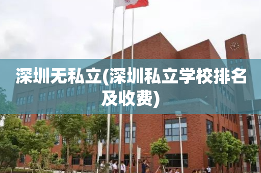 深圳无私立(深圳私立学校排名及收费)
