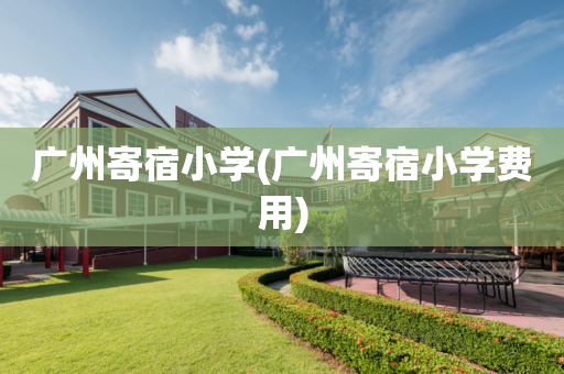 广州寄宿小学(广州寄宿小学费用)