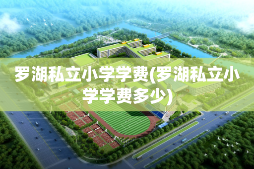 罗湖私立小学学费(罗湖私立小学学费多少)