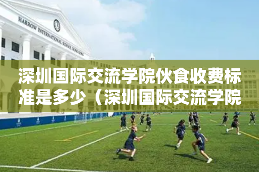 深圳国际交流学院伙食收费标准是多少（深圳国际交流学院入学条件）